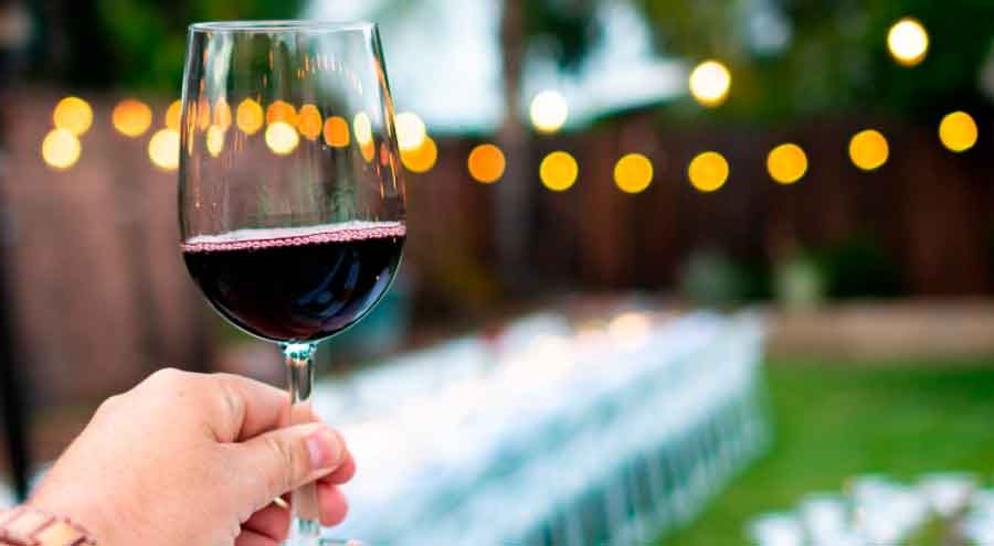 cata-de-vino