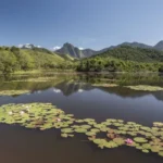 Reserva Ecológica